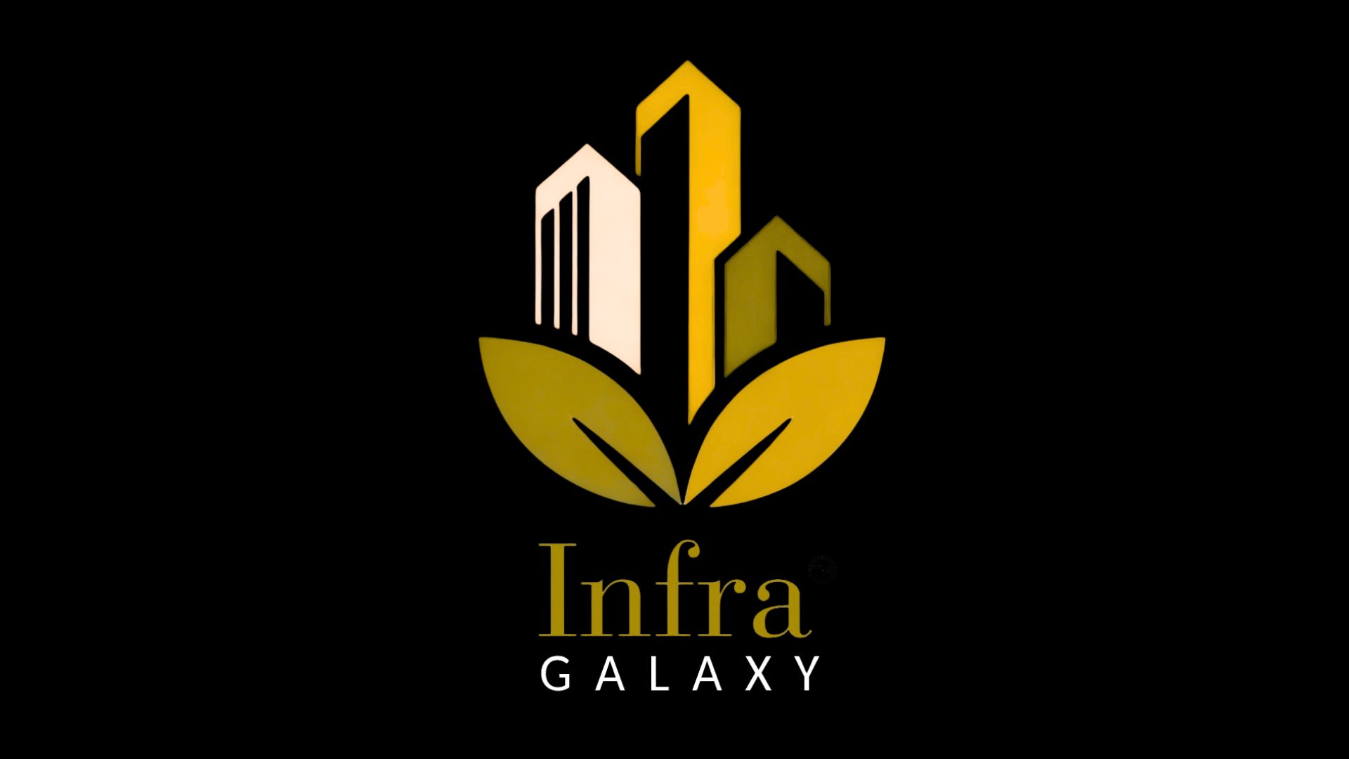 Infra Galaxy logo.pdf